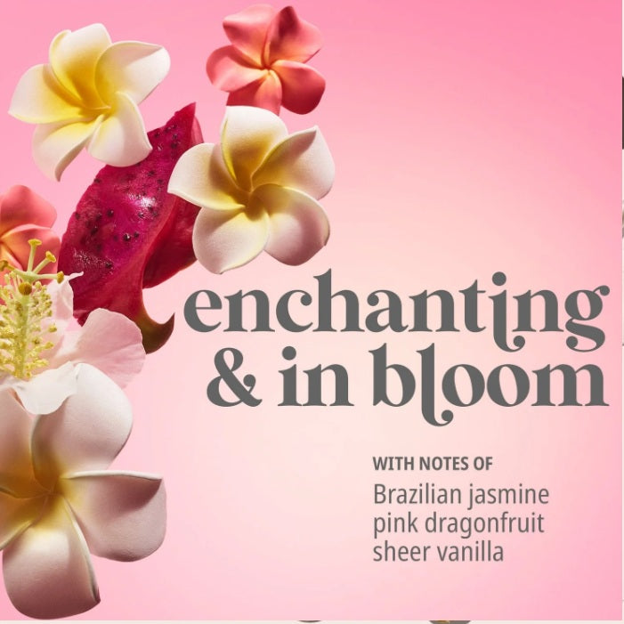 Beija Flor Elasti-Cream - Serene Beauty